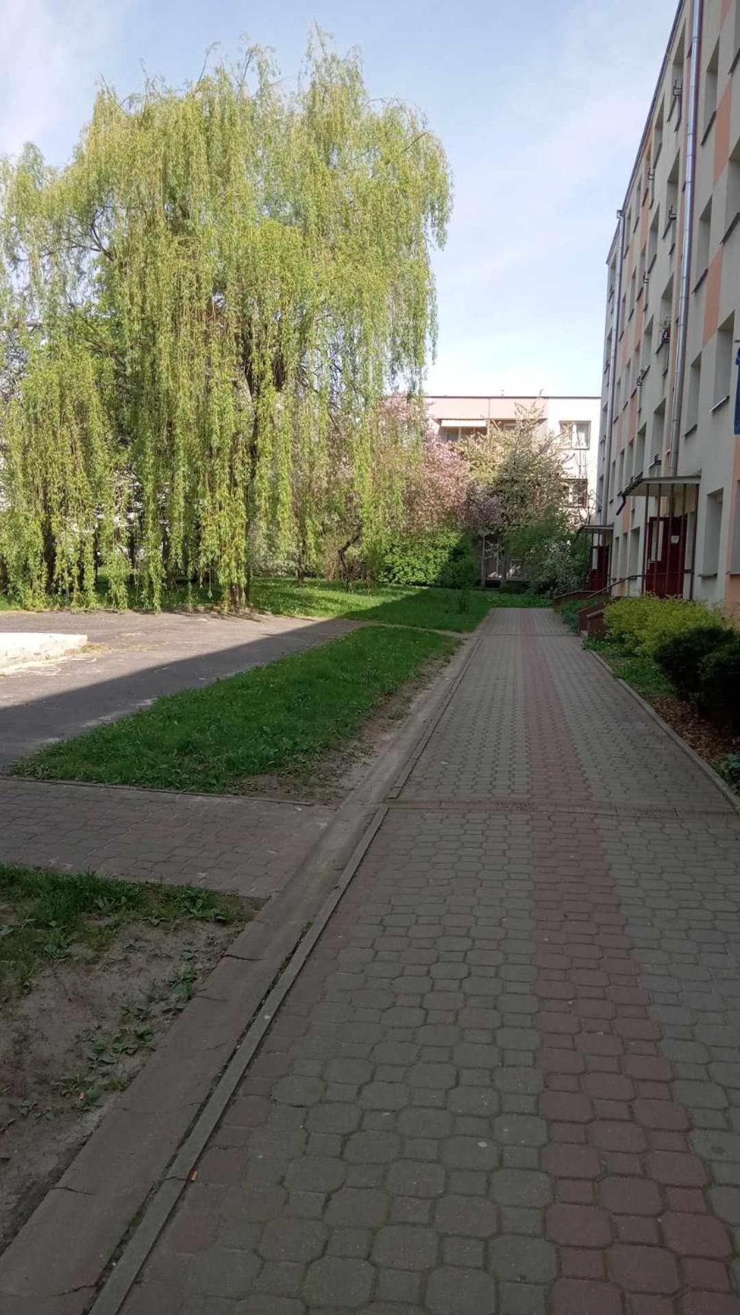 Flowers - Apartment